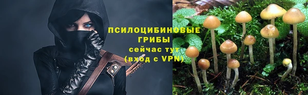 молекула духа Заволжск