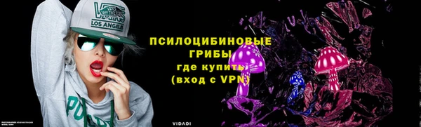молекула духа Заволжск