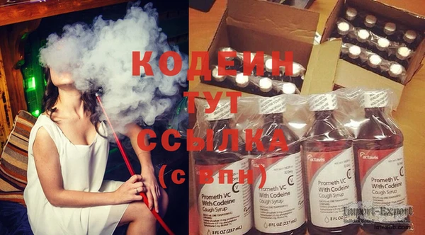 не бодяженный Заводоуковск