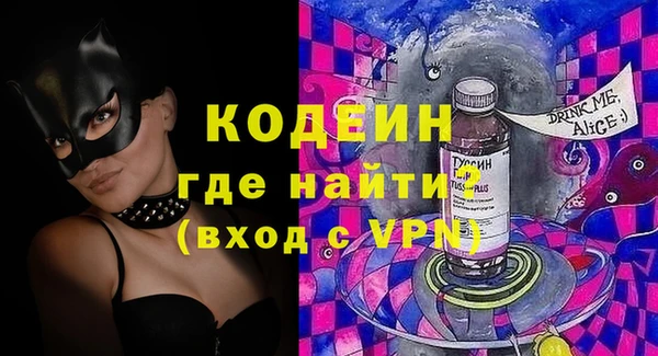 не бодяженный Заводоуковск