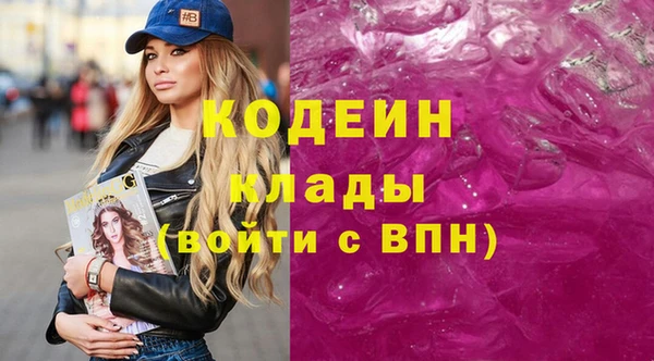не бодяженный Заводоуковск