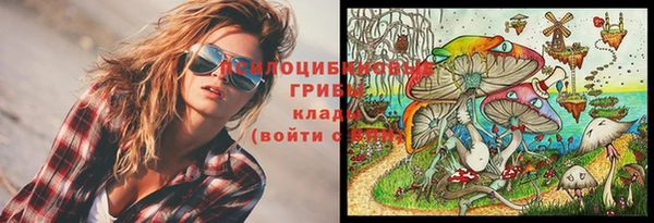 молекула духа Заволжск